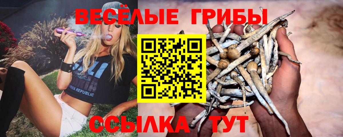Галлюциногенные грибы мухоморы  Вход с VPN  Чебаркуль 